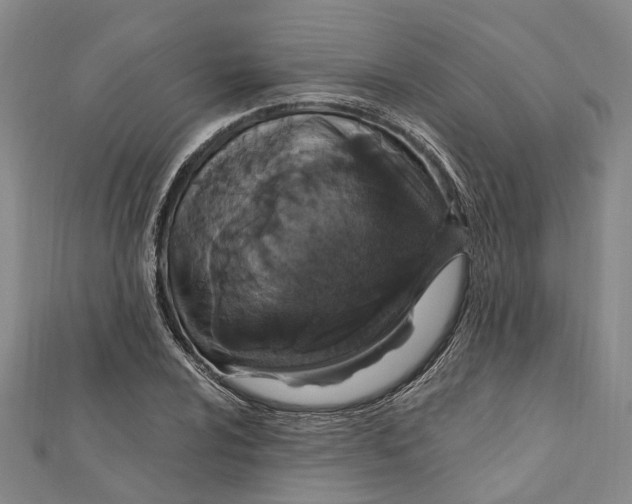 X0000111801024200908201149