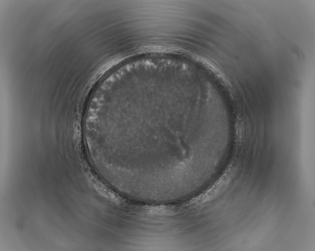 X0000111801025200908201149