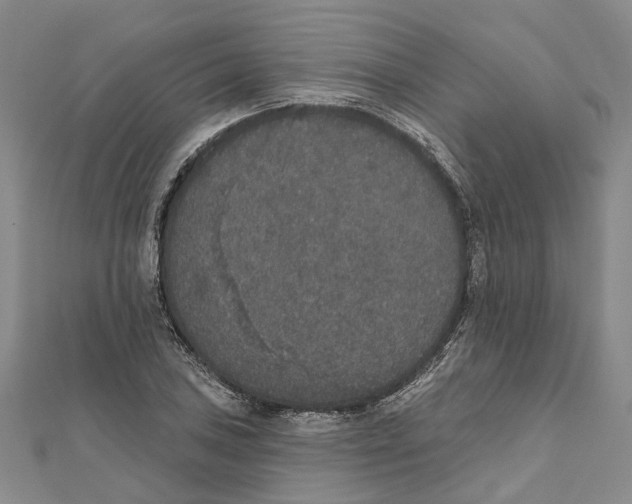 X0000111801027200908201149