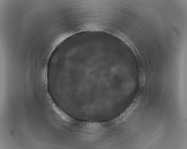 X0000111801030200908201149