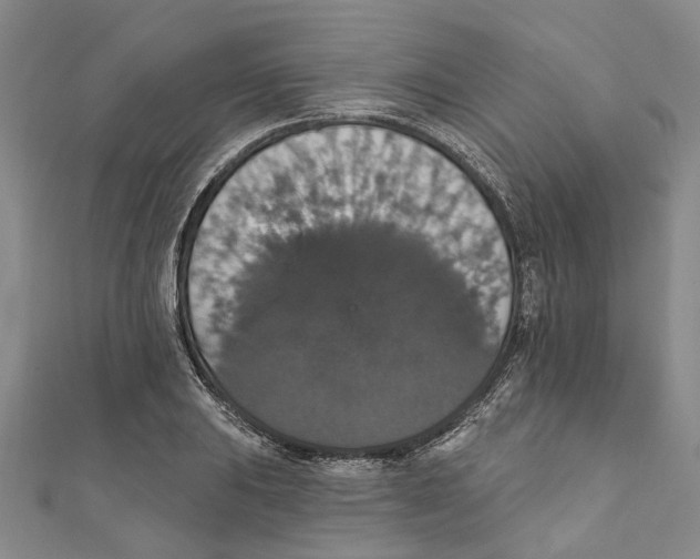 X0000111801031200908201149