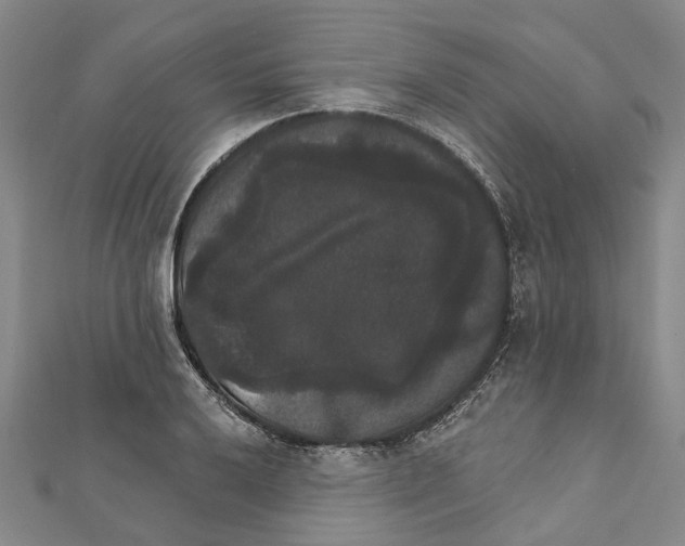 X0000111801032200908201149