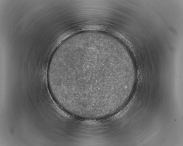 X0000111801033200908201149