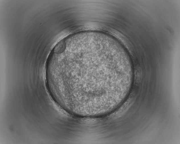 X0000111801034200908201149