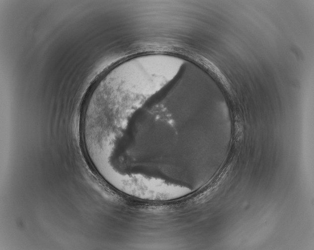 X0000111801035200908201149