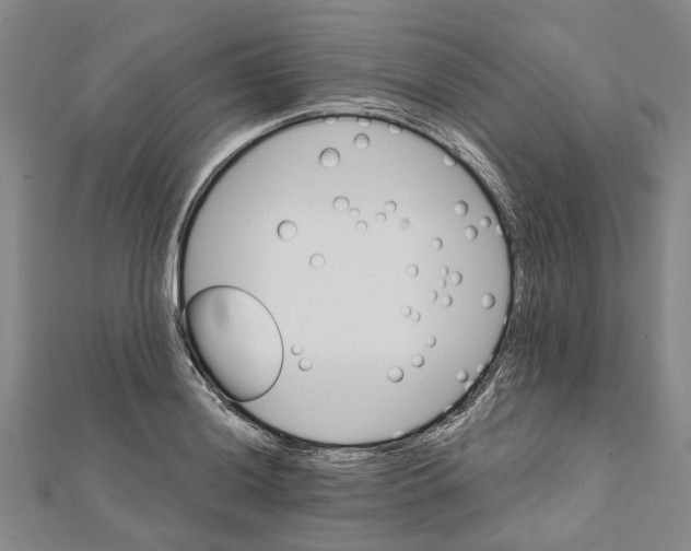 X0000111801036200908201149