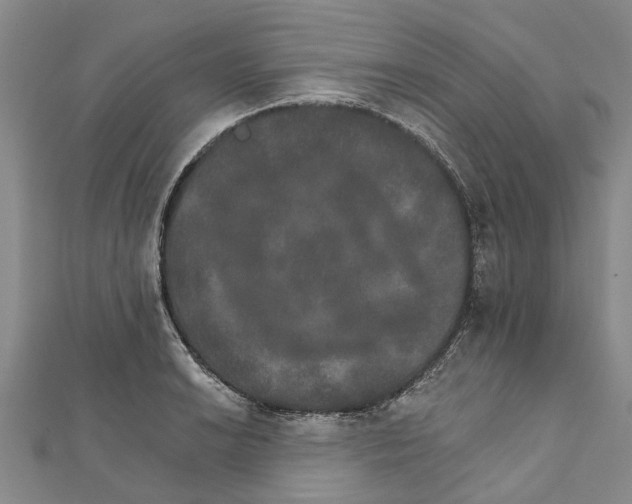 X0000111801038200908201149