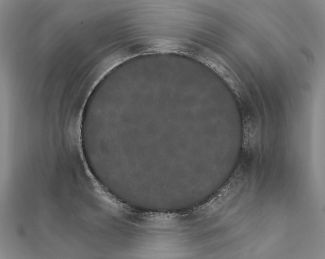 X0000111801039200908201149