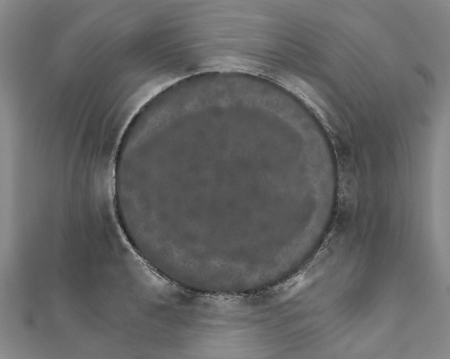 X0000111801040200908201149