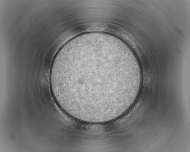 X0000111801041200908201149