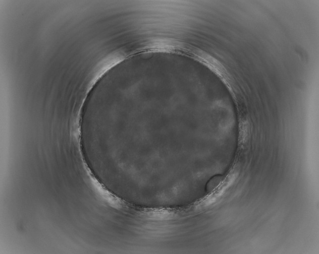 X0000111801042200908201149