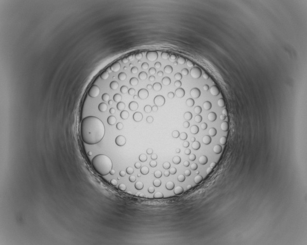 X0000111801044200908201149