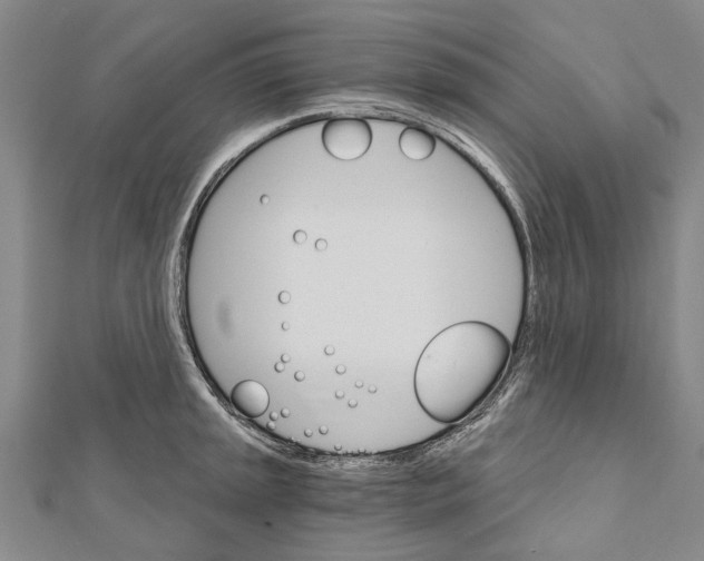 X0000111801045200908201149