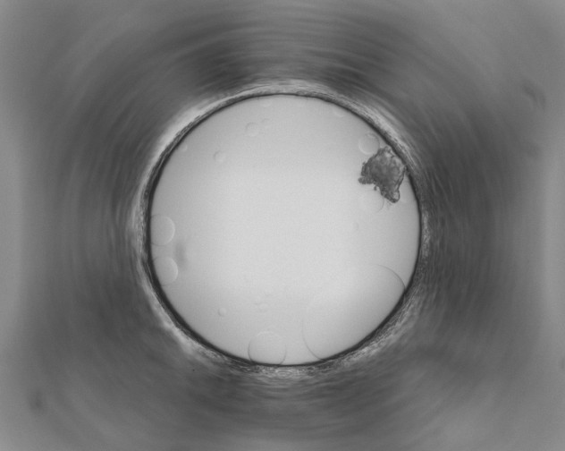 X0000111801046200908201149