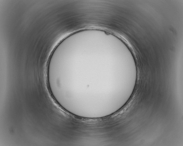 X0000111801048200908201149
