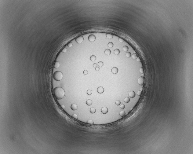 X0000111801049200908201149