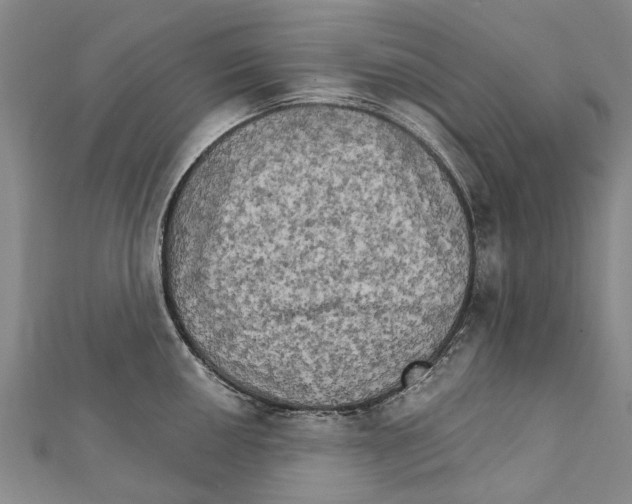 X0000111801050200908201149