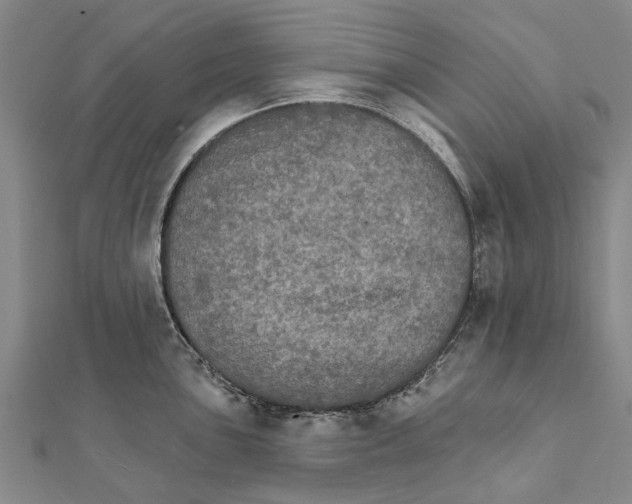 X0000111801051200908201149
