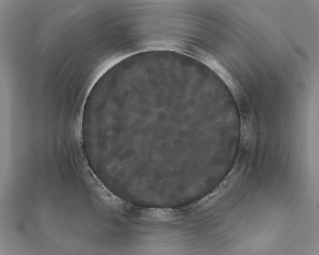 X0000111801052200908201149