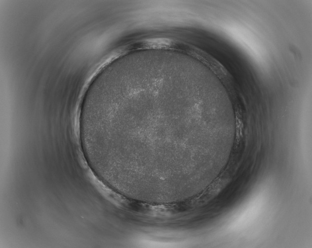 X0000111801054200908201149