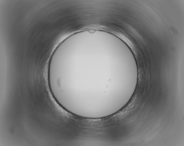 X0000111801055200908201149