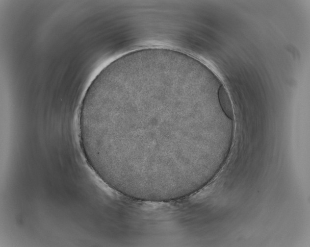 X0000111801056200908201149