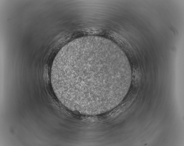 X0000111801058200908201148