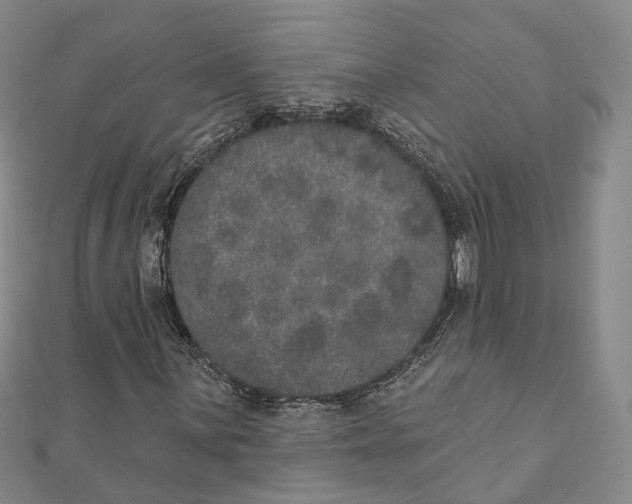 X0000111801059200908201148
