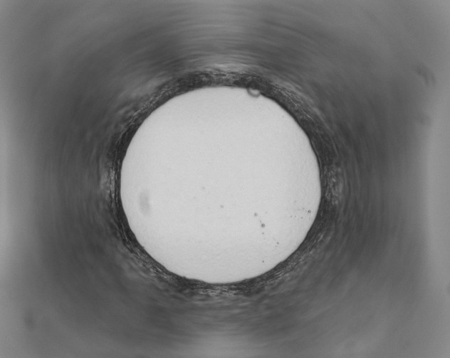 X0000111801061200908201148