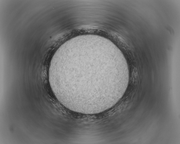 X0000111801062200908201148