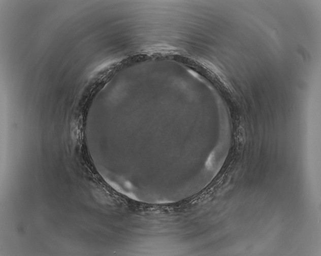 X0000111801063200908201148