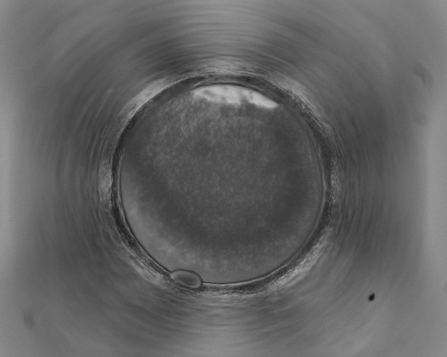 X0000111801065200908201148