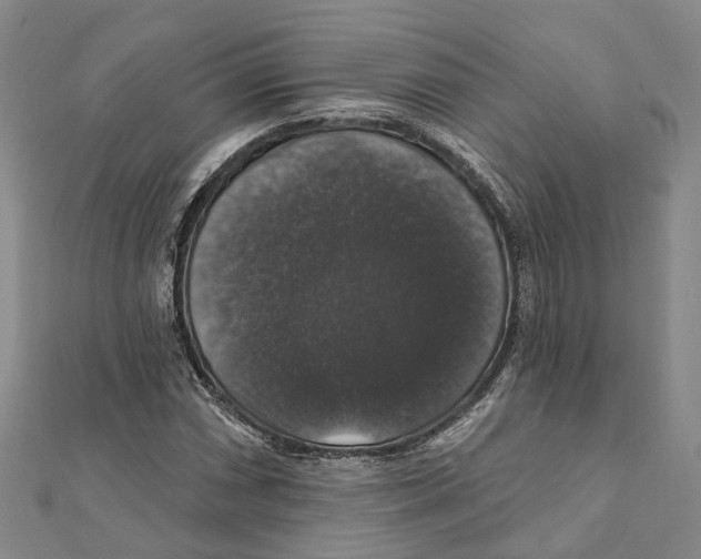X0000111801066200908201148