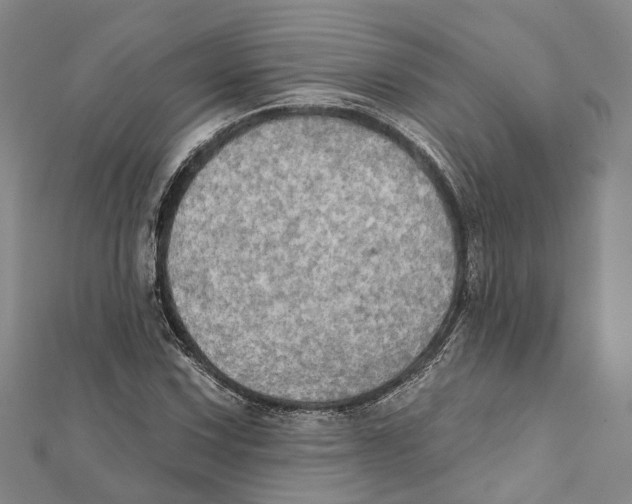 X0000111801067200908201148