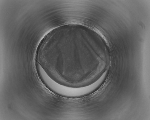 X0000111801068200908201148