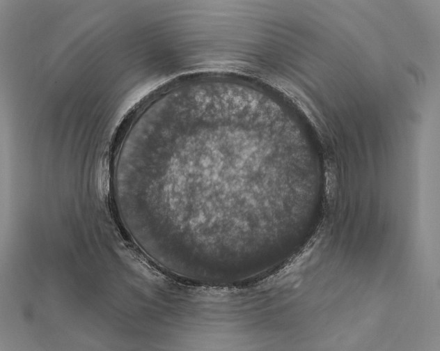 X0000111801069200908201148