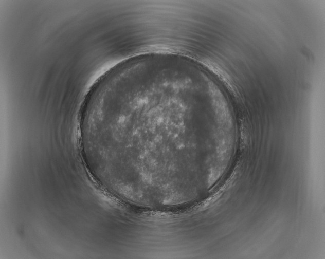 X0000111801070200908201148
