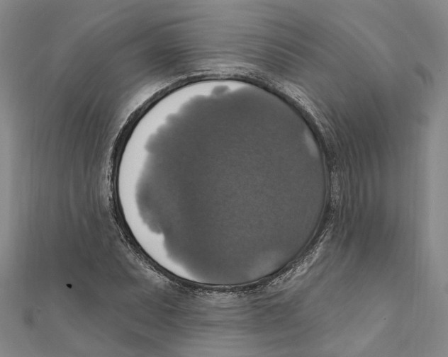 X0000111801071200908201148