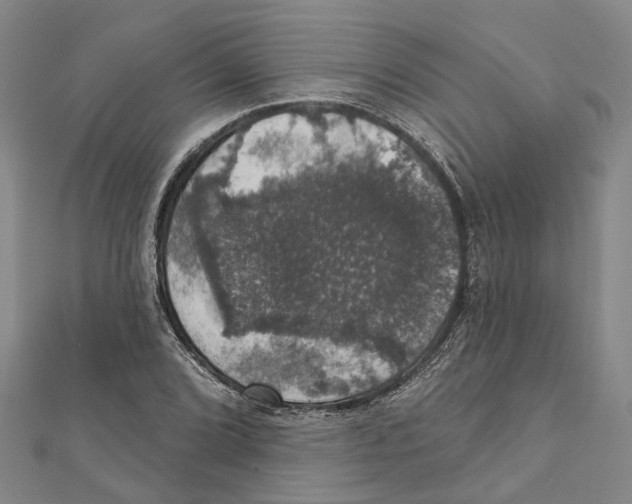 X0000111801072200908201148