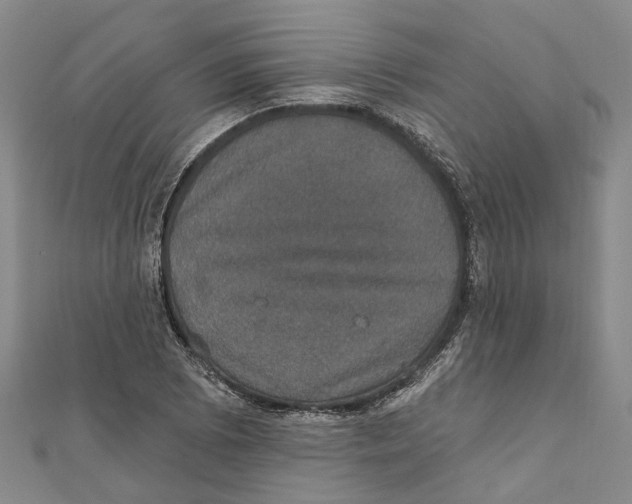 X0000111801073200908201148