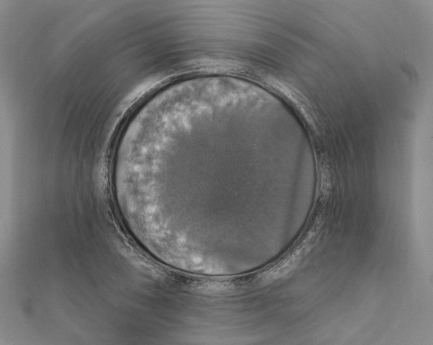 X0000111801074200908201148