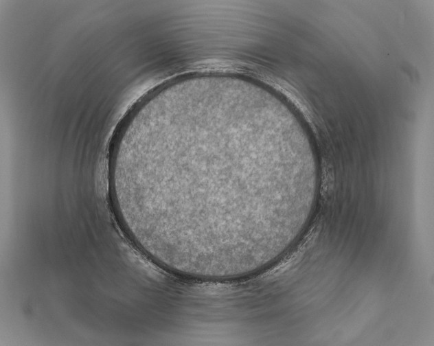 X0000111801075200908201148