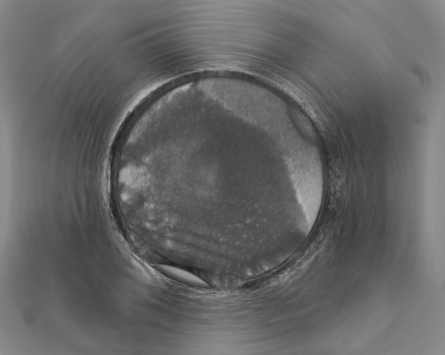 X0000111801076200908201148
