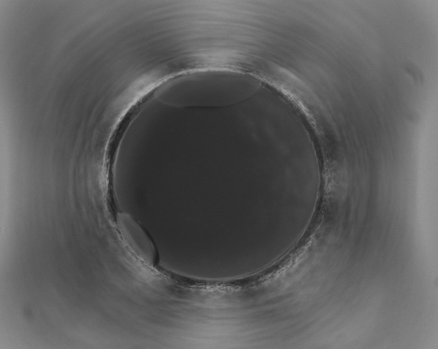 X0000111801077200908201148