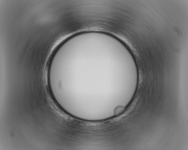 X0000111801078200908201148