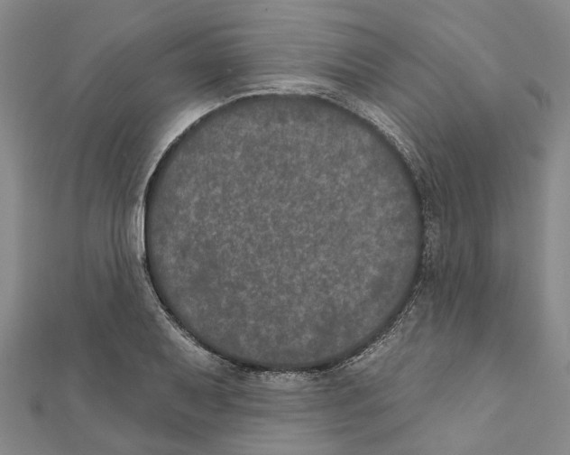 X0000111801079200908201148