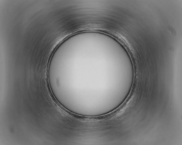 X0000111801081200908201148