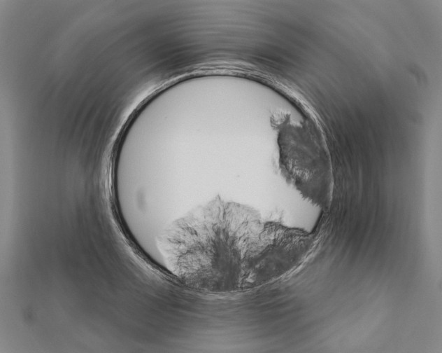 X0000111801083200908201148