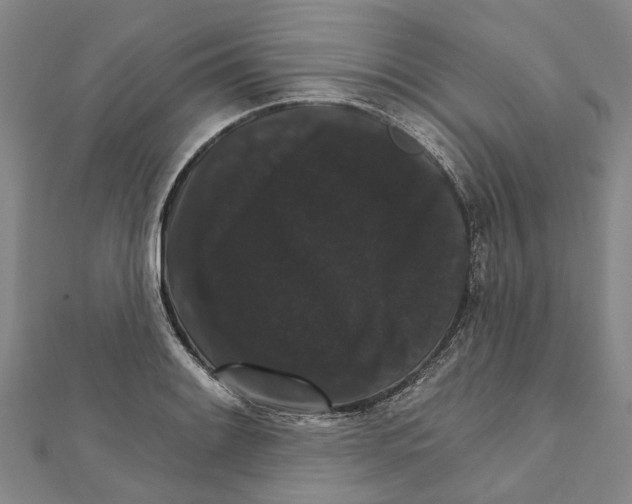X0000111801084200908201148