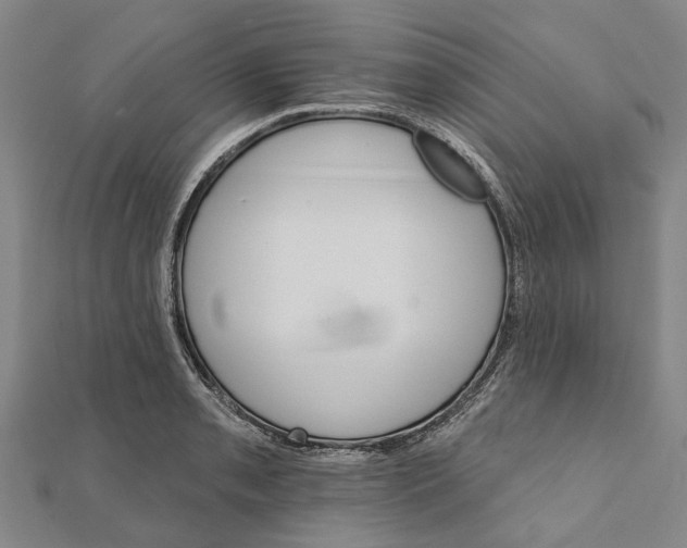 X0000111801085200908201148